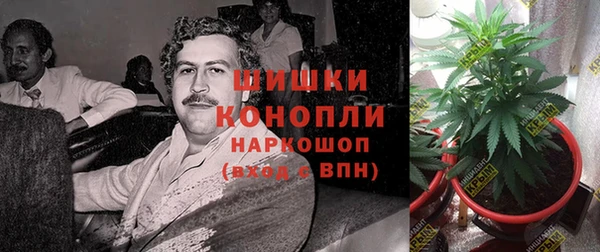крисы Абинск