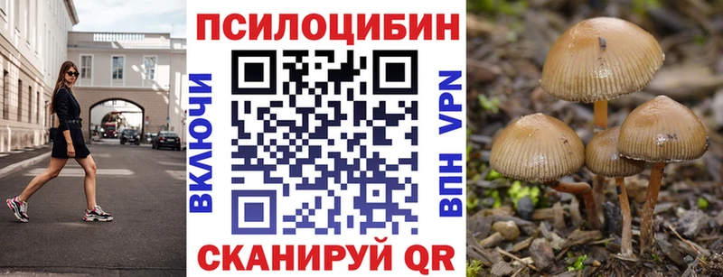 kraken маркетплейс купить наркотики сайты Балаково мориарти Telegram Псилоцибиновые грибы MAGIC MUSHROOMS